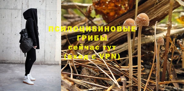 спайс Армянск