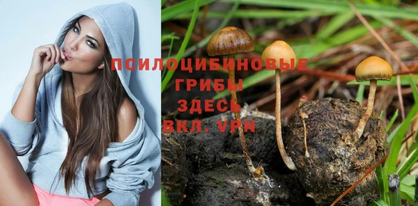 наркотики Алзамай