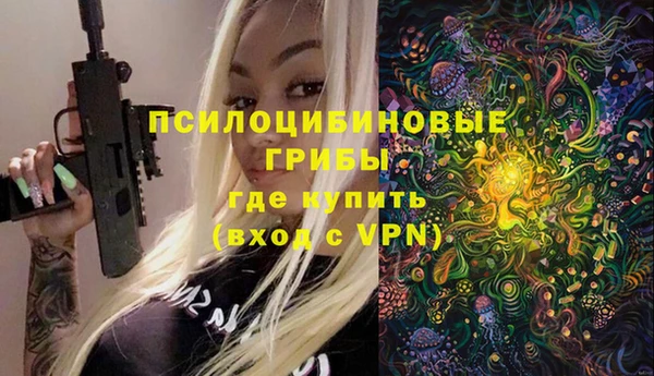 МДПВ Аркадак