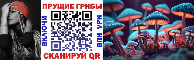 Галлюциногенные грибы прущие грибы  Купить закладки  Суздаль 