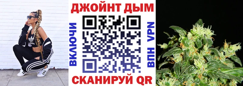 Купить закладки  Суздаль  Бошки марихуана конопля 
